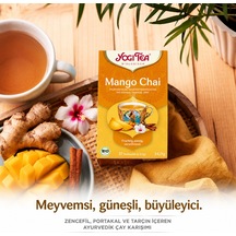 Organic Mango Chai 17 Süzen Poşet Organik Baharatlı Meyve Çayı