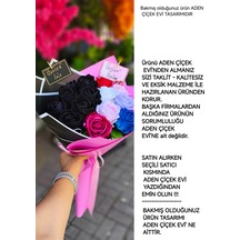 Çok Renkli