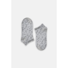 Gri