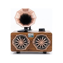 Everton Rt-744 Bluetooth Fm-usb-tf-aux Şarjlı Nostaljik Radyo Kdo