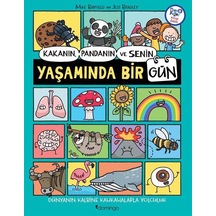 Kakanın, Pandanın ve Senin Yaşamında Bir Gün - Domingo Yayınevi - Mike Barfield