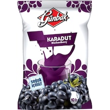 GÜNBAK TOZ KARADUT 450 G. 10 LT.