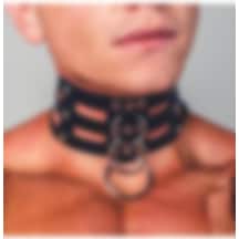 Red Fox Fantezi Deri Collar Zincirsiz Çok Renkli
