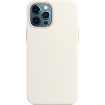 Nettech Apple  Uyumlu  iPhone 12 Pro Max Magsafe Wireles Seri Arka