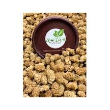 Naturel Dut Kurusu 500 Gr Diğer