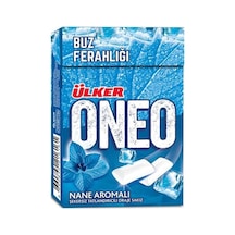 Nane Flıptop Sakız 21g