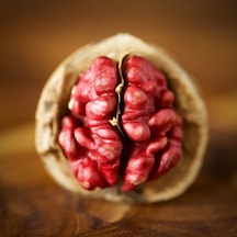 Tüplü Aşılı Kırmızı Ceviz Fidanı 4  Adet