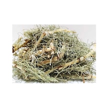 Kırkkilit - At Kuyruğu Otu 100 Gr Paket