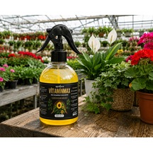 500 ML