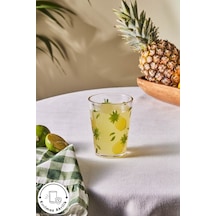 Karaca  Pina Akrilik Su Bardağı 440 ml Şeffaf