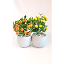 Beyaz - Sarı - Turuncu