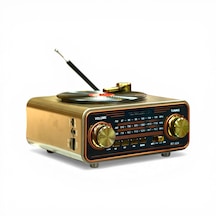 Rt-604a Nostalji Plakçalar Görünüm Radyo,bluetooth Özellikli Nostaljik Radyo