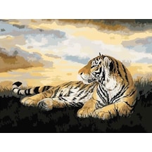 Kaplan Sayılarla Boyama Seti - Çerçeveli, 40x50cm