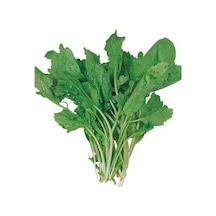 Yerli Tere Tohumu 10 GR Ort 3000 Ad Tohum N112311