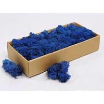 Trend Bahçe Mavi Şoklanmış Reindermoss Teraryum Yosunu 50 G