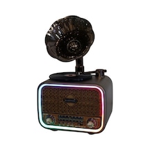 Everton Rt-709 Gramafonlu Bluetooth Fm-usb-tf-aux Şarjlı Nostaljik Radyo