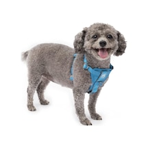 Köpek Koşum Takımı Evcil Hayvan Yürüyüş Koşumu No Pull Harness Ön Klips Fonksiyonu Antrenman İçin Dahil Çok Renkli