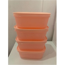 Alaska 450 Ml 4 Lü Derin Dondurucu Ve Buzdolabı Saklama Kabı Diğer