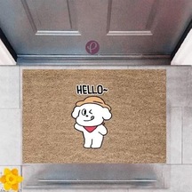 Kapı Önü Paspası Dekoratif Dijital Baskı Hello P-2369 Renkli