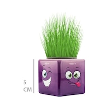 Çim Adam Mini Küp Emoji Figürlü 1 Adet Renkli