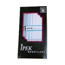 Alfa Aksesuar 03 İpek Erkek Çizgili Kutulu Mendil 12 Adet 42x42 Cm Çok Renkli