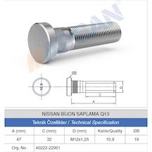20 Adet Nissan Bijon Saplaması Q13