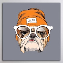Buffalo Bandana Cooldog Glasses Siyah