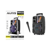 Auris ARS-K21 Bluetooth Hoparlör