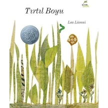 Tırtıl Boyu - 57858324546996399240225