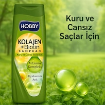 Kuru Ve Cansız Saçlar Için Şampuan Kolajen&vitamin&hyaluronik Asit 480 Ml 6 Adet Kuru Ve Cansız Saçlar Için Şampuan Kolajen&vitamin&hyaluronik Asit 480 Ml 6 Adet
