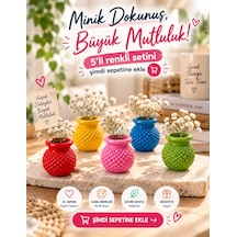 Nesli Evim 5 Adet Minik Su Umluk Vazolar Obje 0