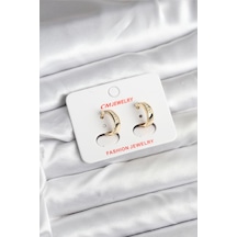 14k Gold Renk Kaplama Cm Kadın Küpe - Tj-bkp11401 Altın