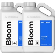 Athena Bloom A+b 0.94 Litre