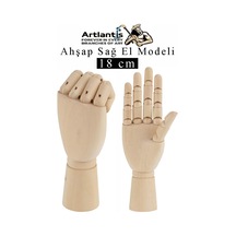 Ahşap Sağ El Modeli 18 Cm 1 Adet Sağ El Maketi Çoçuk Ahşap Manken Sağ El Parmak Model Hareketli Esnek Eskiz Çizim Boyama