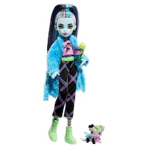 Monster High Creepover Parti Bebekleri Frankie Stein