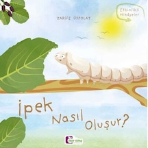 Oluşum Hikayeleri - İpek Nasıl Oluşur - Dppq-761133