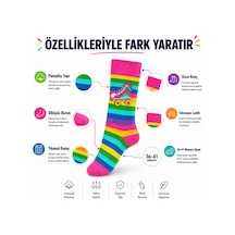 Çok Renkli