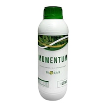 1 L