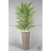 Yapay Areka Ağacı Palmiye Ağacı 33 Yapraklı Bambu Gövdeli Mocca Kumsal Saksı Salon Çiçeği 150cm H