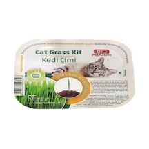 Bio Petactive Cat Grass Kit Doğal Kedi Çimi Kiti
