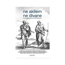 Ne Akilem Ne Divane - Anadolu Bilgeliği Üzerine Felsefi Düşünümler - Akın Gülyurt - Lejand