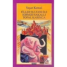 Filler Sultanı İle Kırmızı Sakallı Topal Karınca + 29 Kitap Set