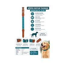 Köpek Boyun Tasması 54-61 Cm Pati Desenli Deri Uçlu Metal Tokalı - Turkuaz Kahverengi Çok Renkli