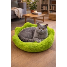 Çiçek Kedi Yatağı