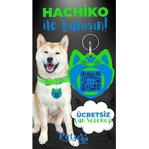 Petjoo 19.Hachiko Mavi-Yeşil Qr'lı Köpek Künyesi