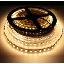 Cata 10 Çipli Şerit Led Dış Mekan (Günışığı) Ct-4488 5 Mt