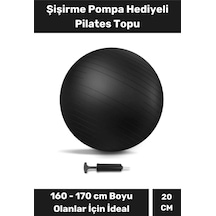Mini Gymball 20cm Mavi Pilates Denge Egzersiz Topu Profesyonel Seri Şişirme Pompa