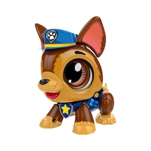 - Paw Patrol - Chase
