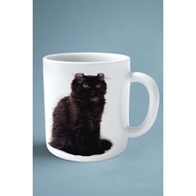 York Chocolate Kedi İsimli Kişiye Özel Baskılı Kupa Bardak Model 4 Çok Renkli