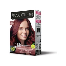 4.6 Kestane Kızılı Set Boya